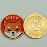 shiba-inu-coin-review