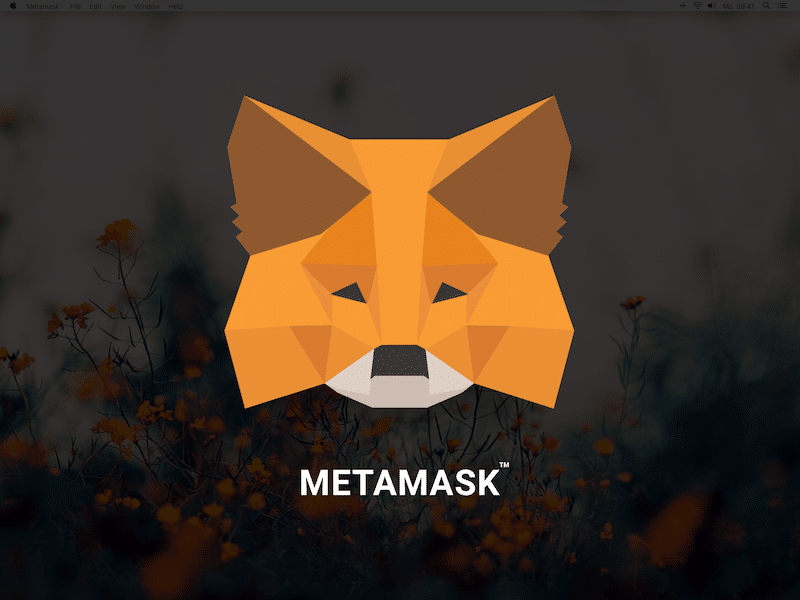 download-metamask-tumbl