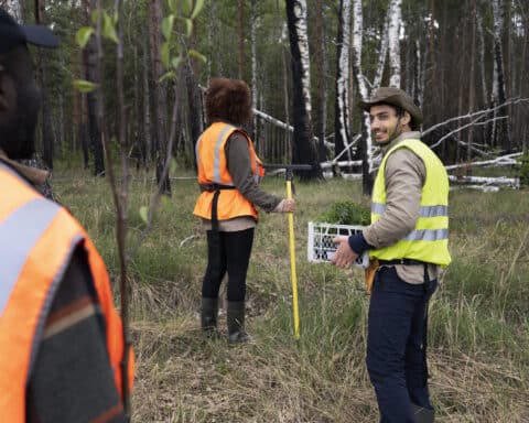 methane-detection-and-landfill-environmental-safety